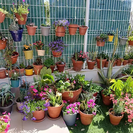 Apartament Tranquil Sea Breeze